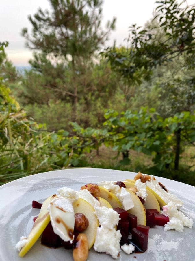 Quinta Abelha Villa Pico Eksteriør billede