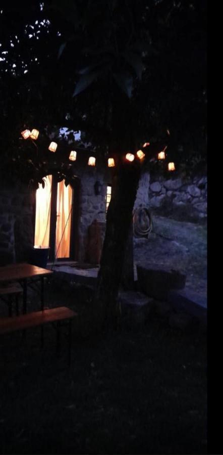 Quinta Abelha Villa Pico Eksteriør billede